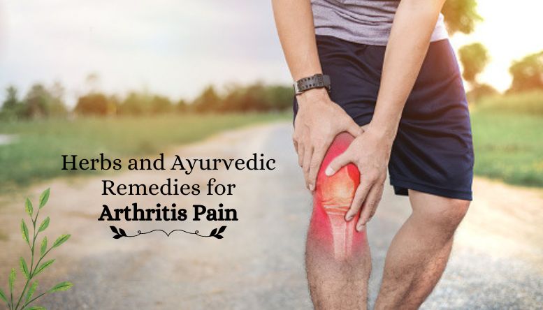 Herbs and Ayurvedic Remedies for Arthritis Pain